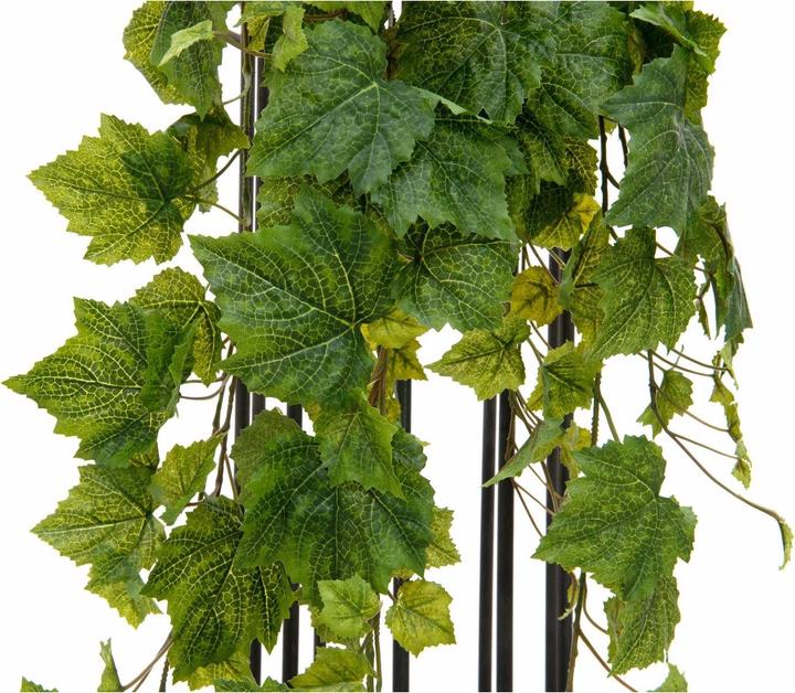 Actual product image Europalms Vine bush Premium (100 cm)