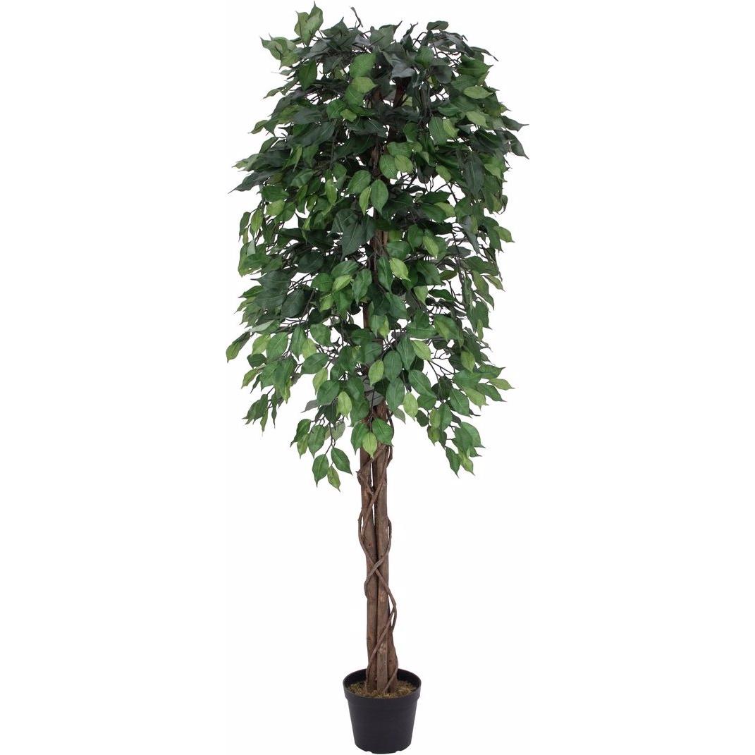Europalms, Kunstpflanzen, Ficus-Benjamini Multi-Stamm, Kunstpflanze, 180cm (180 cm)