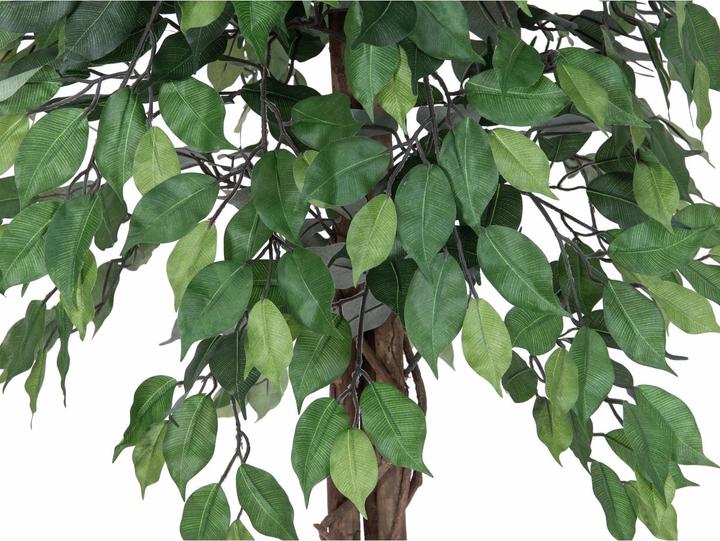 Produktbild Europalms Ficus-Benjamini Multi-Stamm, Kunstpflanze, 180cm (180 cm)