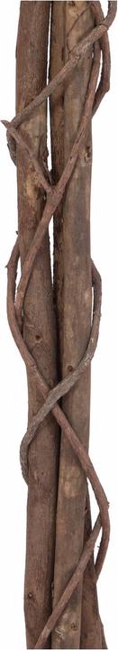 Produktbild Europalms Ficus-Benjamini Multi-Stamm, Kunstpflanze, 180cm (180 cm)