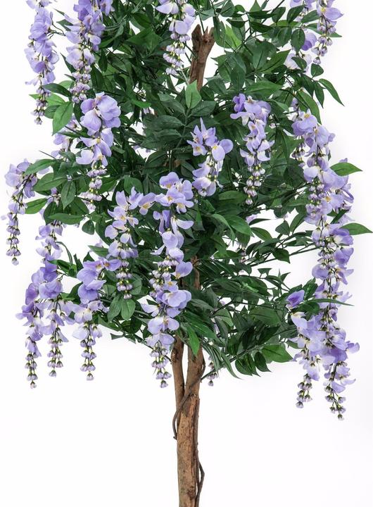 Productafbeelding Europalms Gouden regenboom, kunstplant, paars, 180cm (180 cm)