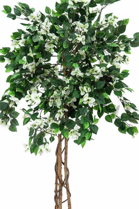 Immagine prodotto Europalms Bougainvillea (150 cm)