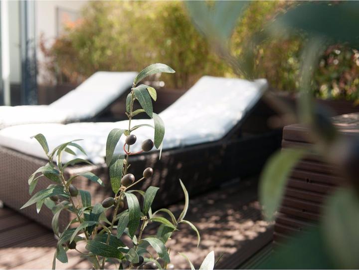 Immagine prodotto Europalms Olivo (90 cm)