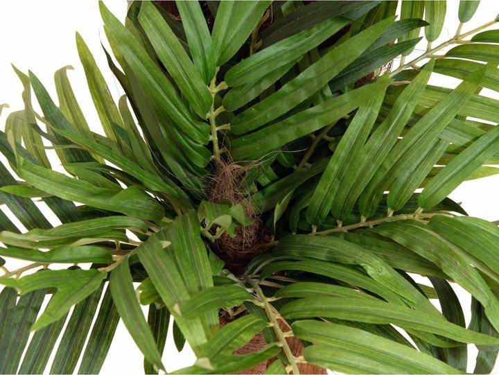 Actual product image Europalms Areca palm, artificial plant, 170cm