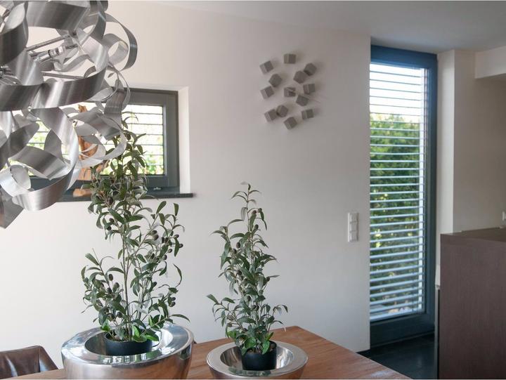 Immagine prodotto Europalms Olivo (90 cm)