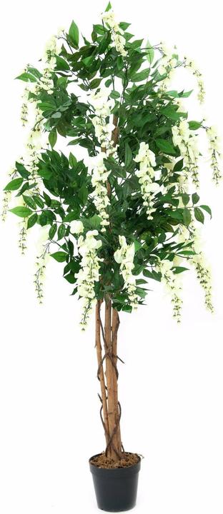 Actual product image Europalms Golden rain tree, artificial plant, white, 180cm (180 cm)