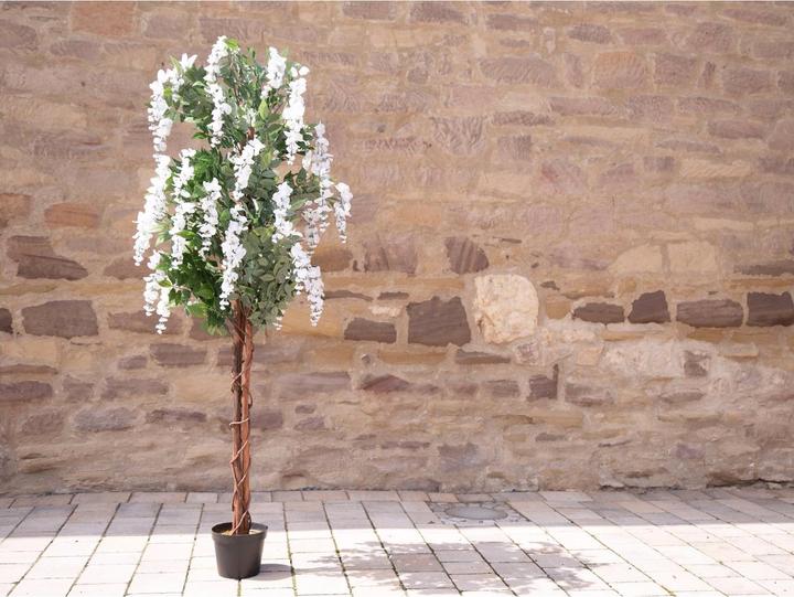 Actual product image Europalms Golden rain tree, artificial plant, white, 180cm (180 cm)
