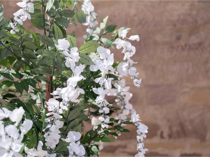 Actual product image Europalms Golden rain tree, artificial plant, white, 180cm (180 cm)