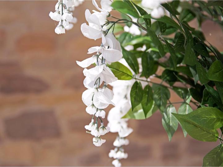 Actual product image Europalms Golden rain tree, artificial plant, white, 180cm (180 cm)