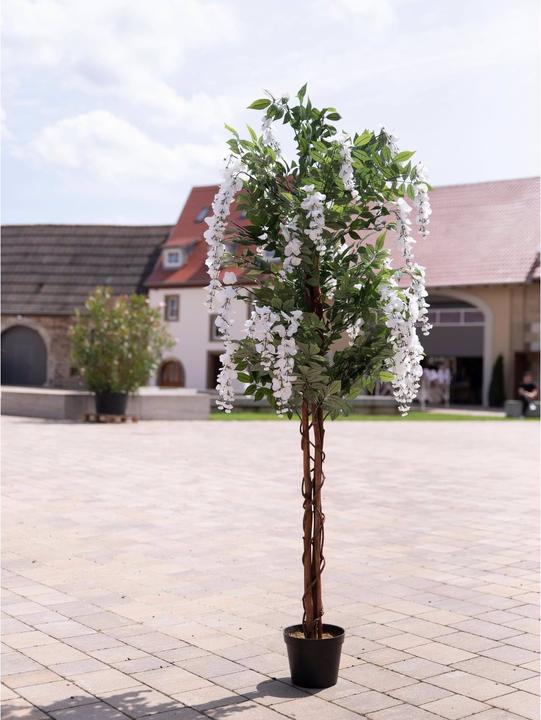 Actual product image Europalms Golden rain tree, artificial plant, white, 180cm (180 cm)
