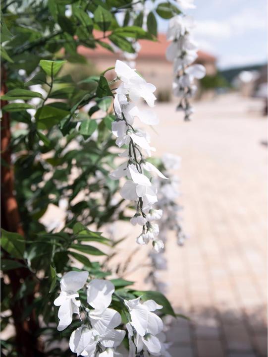 Actual product image Europalms Golden rain tree, artificial plant, white, 180cm (180 cm)