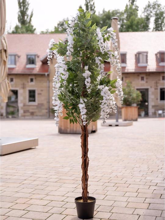 Actual product image Europalms Golden rain tree, artificial plant, white, 180cm (180 cm)