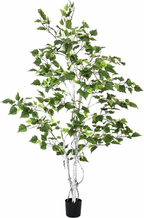 Actual product image Europalms Birch tree, artificial plant, 150cm (150 cm)