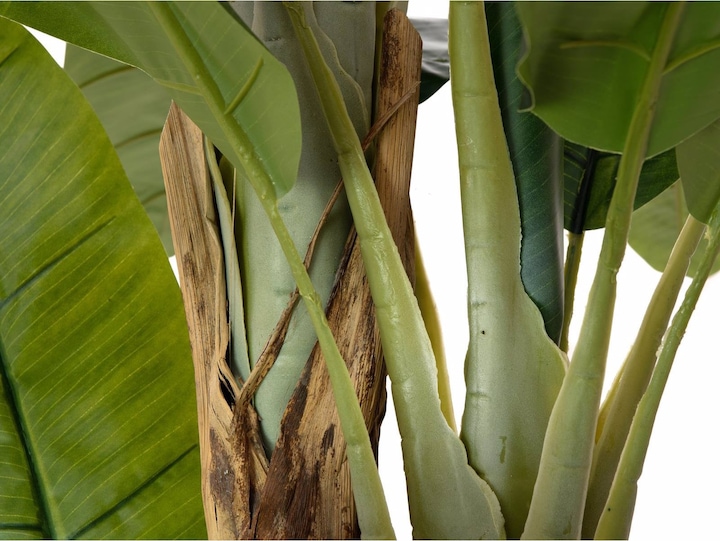 Produktbild Europalms Bananenbaum, Kunstpflanze, 240cm