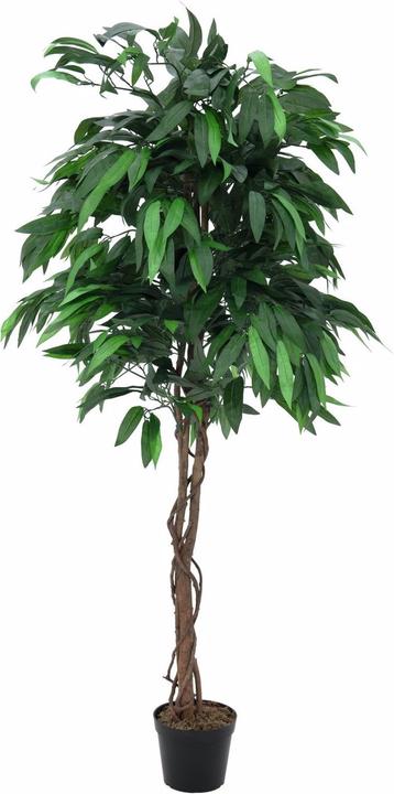 Productafbeelding Europalms Jungle Boom Mango, Kunstplant, 180cm (180 cm)