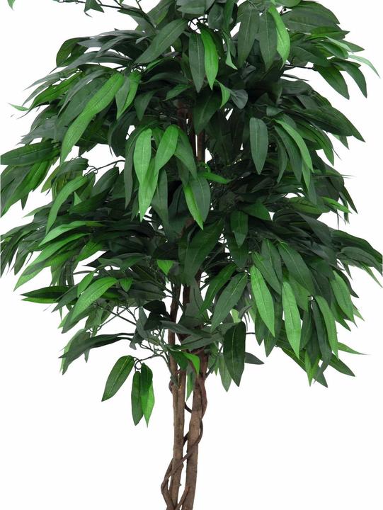 Productafbeelding Europalms Jungle Boom Mango, Kunstplant, 180cm (180 cm)