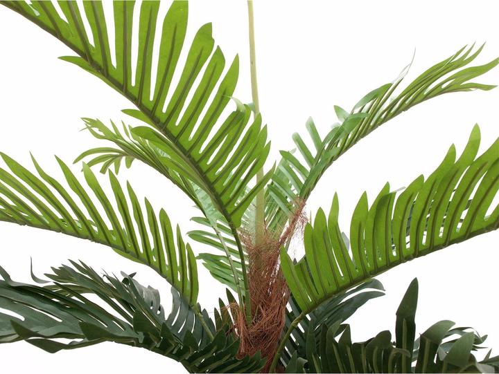 Produktbild Europalms Kentia Palme, Kunstpflanze, 180cm (180 cm)