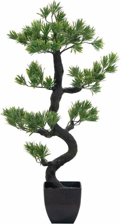 Immagine prodotto Europalms Bonsai Pinie (95 cm)