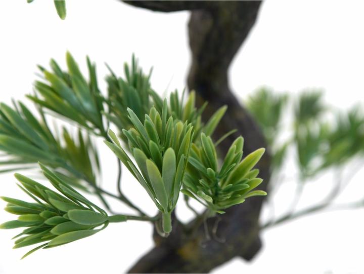 Immagine prodotto Europalms Bonsai Pinie (95 cm)