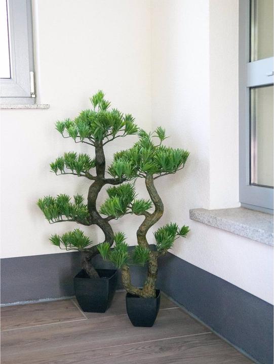 Immagine prodotto Europalms Bonsai Pinie (95 cm)