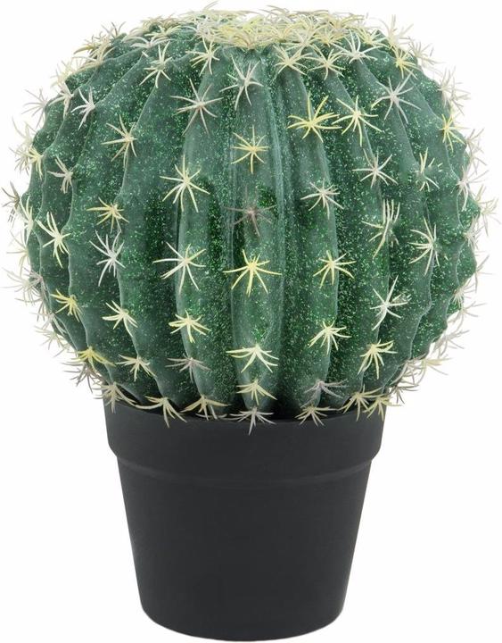 Immagine prodotto Europalms Cactus a palla (34 cm)