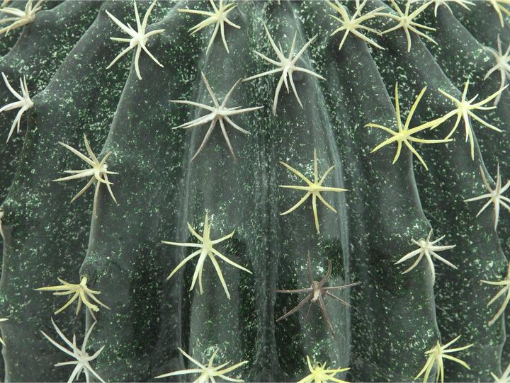 Immagine prodotto Europalms Cactus a palla (34 cm)