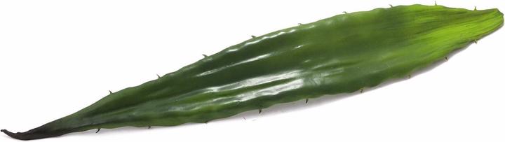 Produktbild Europalms Aloeblatt (60 cm)