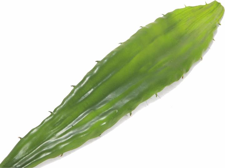 Produktbild Europalms Aloeblatt (60 cm)