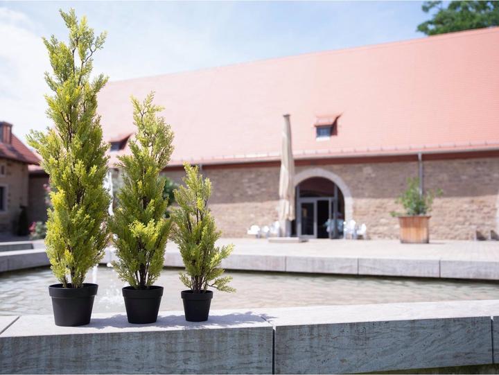 Produktbild Europalms Zypresse (60 cm)