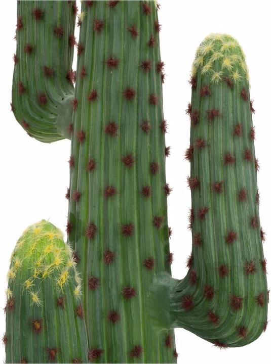Produktbild Europalms Mexikanischer Kaktus (173 cm)