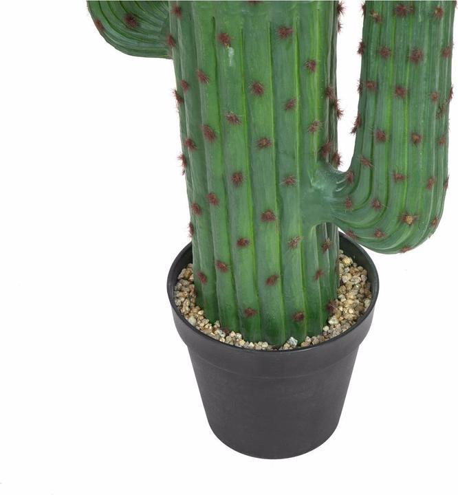 Produktbild Europalms Mexikanischer Kaktus (173 cm)