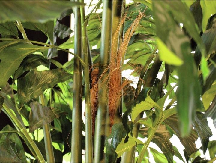 Actual product image Europalms Fishtail palm tree, artificial plant, 305cm