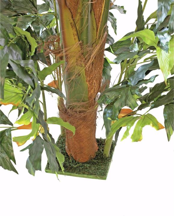 Actual product image Europalms Fishtail palm tree, artificial plant, 305cm