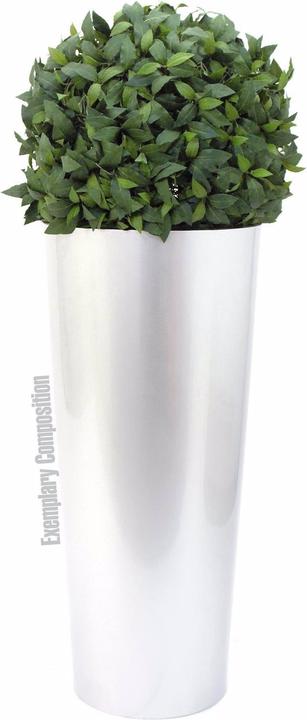 Immagine prodotto Europalms LEICHTSIN ELEGANCE-69, bianco, lucido