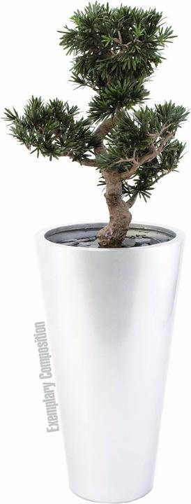 Immagine prodotto Europalms LEICHTSIN ELEGANCE-69, argento, lucido