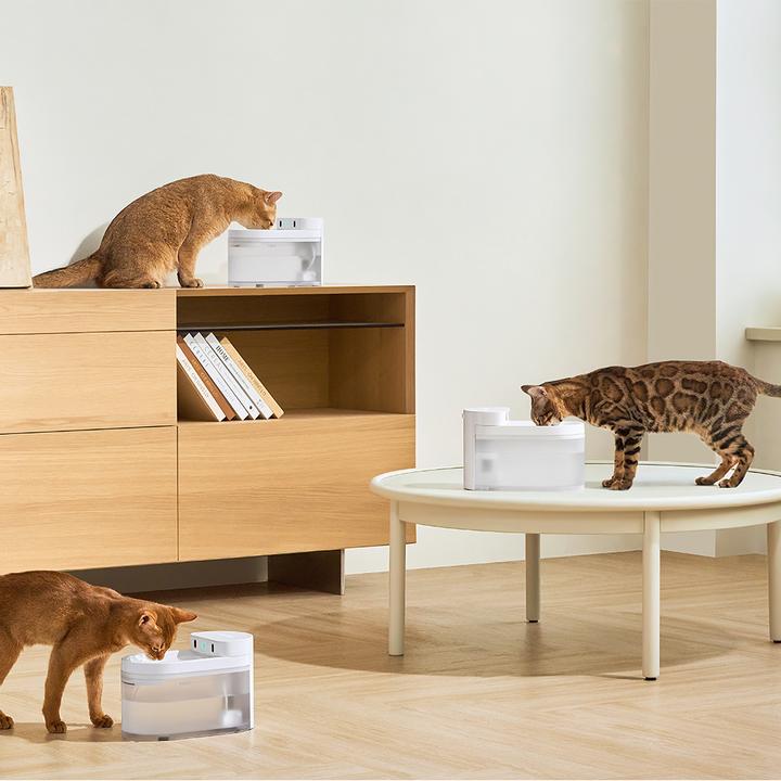 Immagine prodotto Catlink Fontana d'acqua per animali domestici Pure 3 (230 cl)