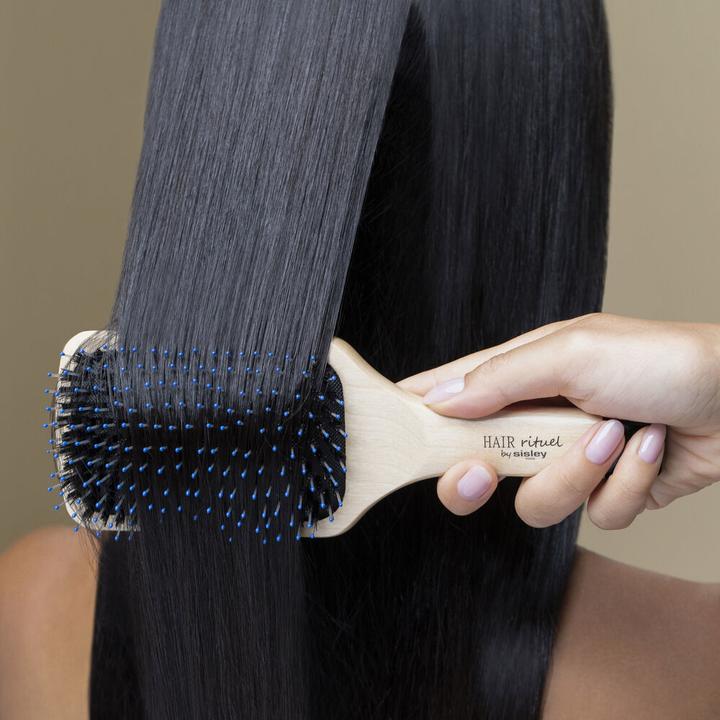 Image du produit Sisley La Brosse Brillance & Douceur