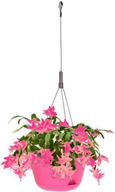 Image du produit EDA Plastiques Pot suspendu Toscane