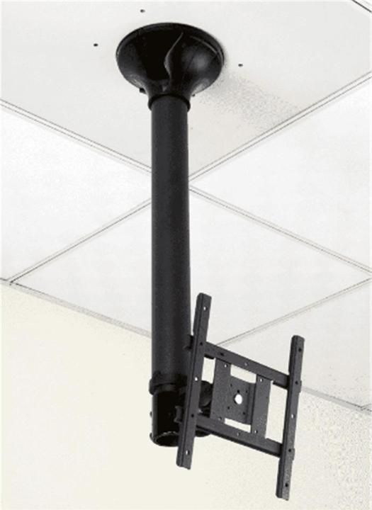 Value LCD Halt (Soffitto, 55", 20 kg)