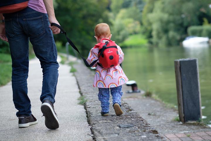 Actual product image Littlelife Toddler Backpack