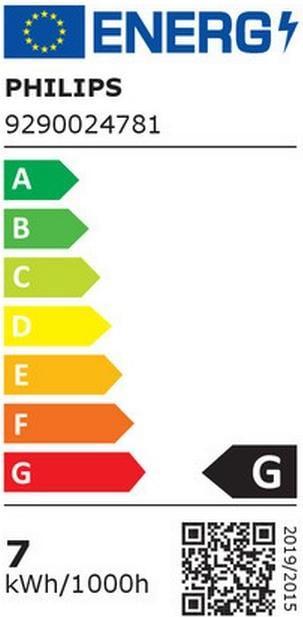 Energie-Label Philips Hue Philips E27 Einzelpack Giant Globe (E27, 7 W, 550 lm, 1 x, G)