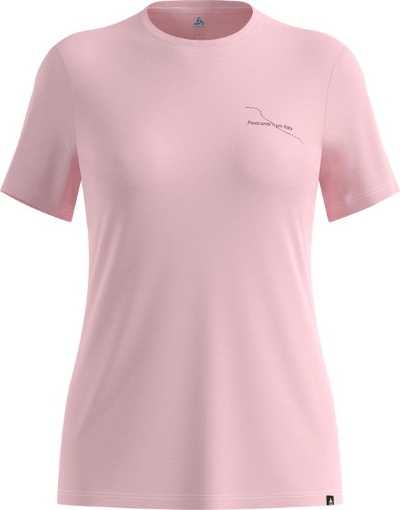 Hyper pink melange, Rose