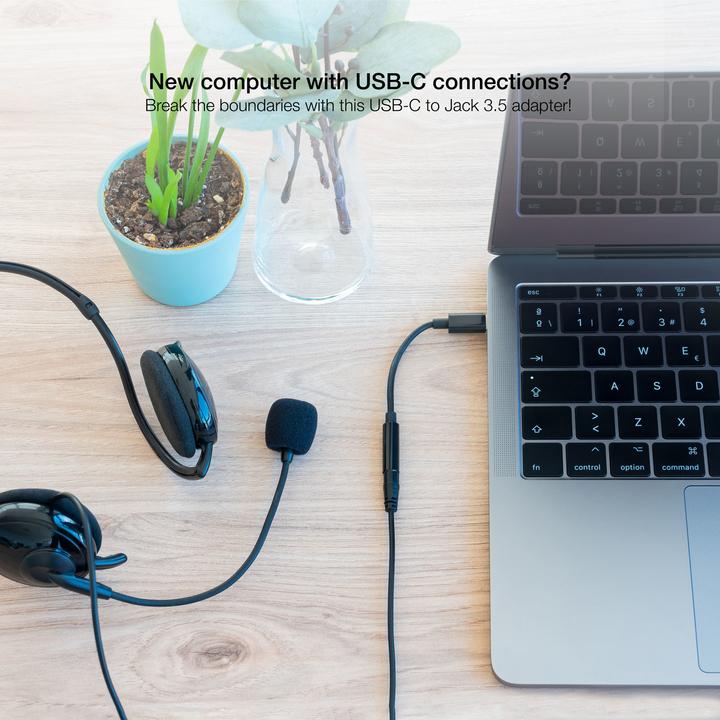 Actual product image Nanocable 10.24.1205 (0.11 m, AUX cable)