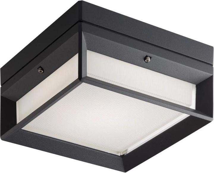 Actual product image Bega Wall & Ceiling Lights (341 lm)