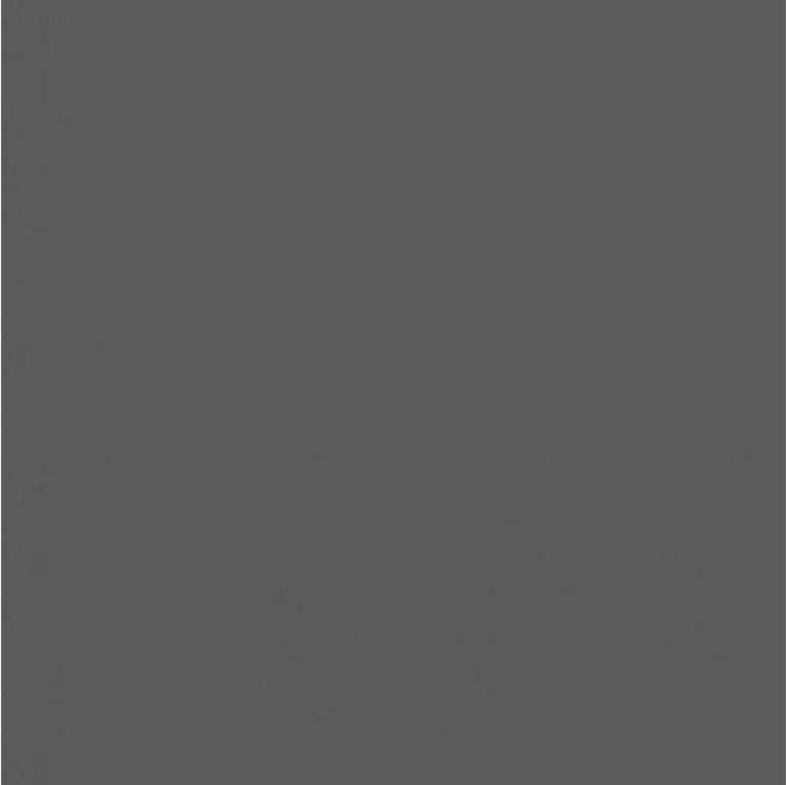 Image du produit Savage Fond 2.72 x 11 m Gris foncé (272 cm, 1100 cm)