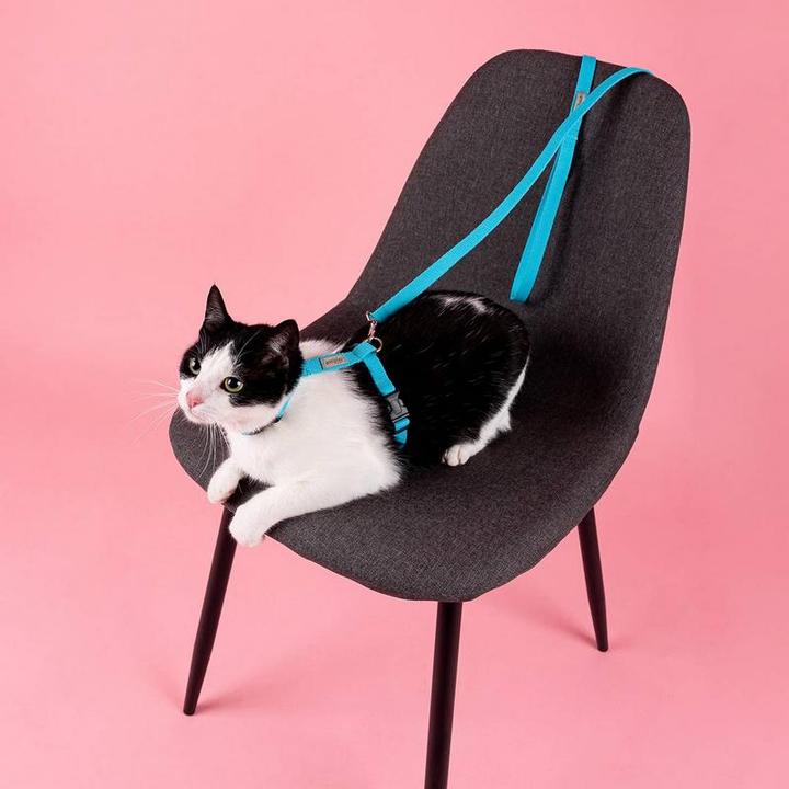 Image du produit amiplay Harnais pour chat Samba (M, Chat, Chien, Général)