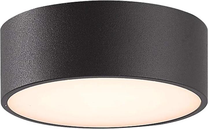 Actual product image CMD Wall & Ceiling Lights (539 lm, IP65)