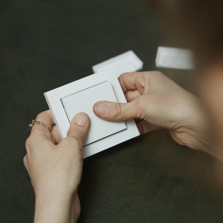 Actual product image Senic Friends of Hue