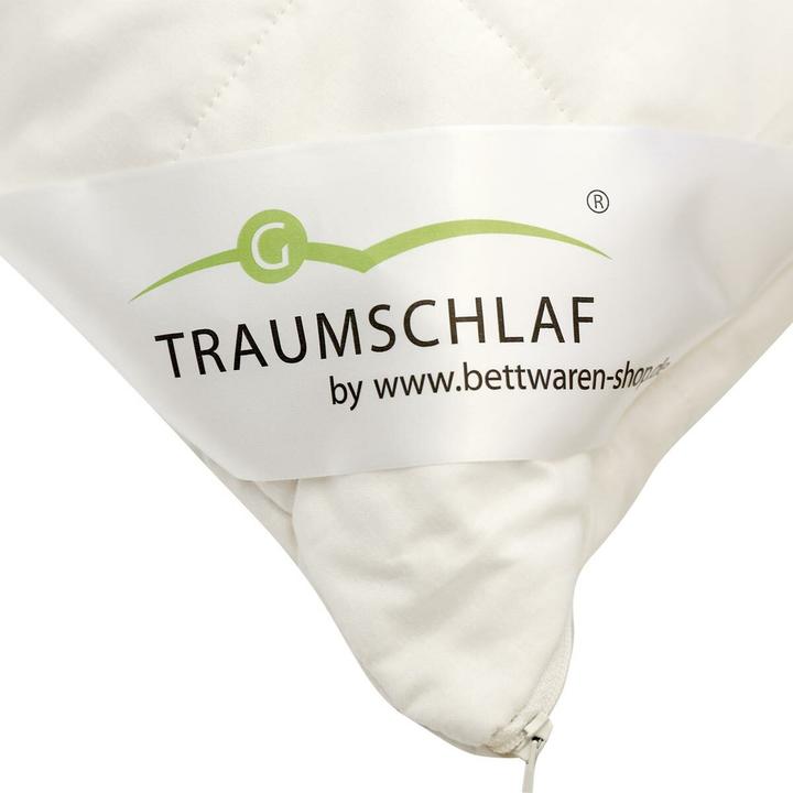 Actual product image Traumschlaf kbA (65 x 100 cm)