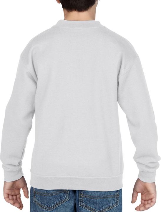 Actual product image Gildan Childrens/Kids Heavy Blend Drop Shoulder Sweatshirt (104)